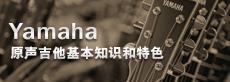 吉他、貝斯和音箱